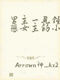 男主一见钟情暗恋女主的小说