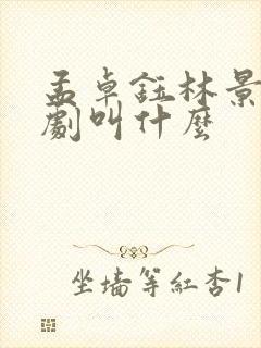 孟卓钰林景知短剧叫什么