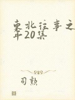 东北往事之二十年20集