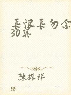 长恨长勿念短剧30集
