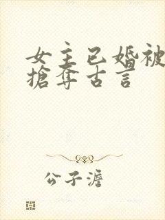 女主已婚被男主抢夺古言