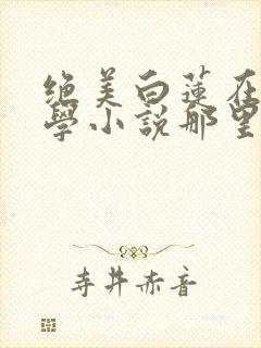 绝美白莲在线教学小说那里可以看