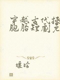 穿越古代拯救双胞胎短剧免费观看