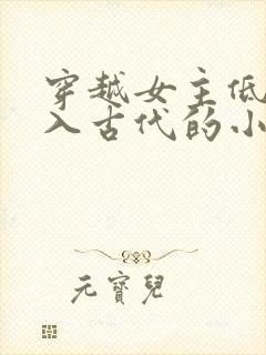 穿越女主低调融入古代的小说