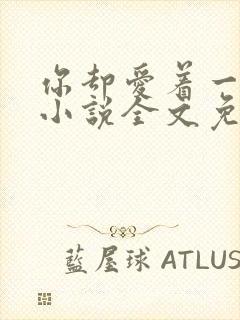 你却爱着一个他小说全文免费阅读