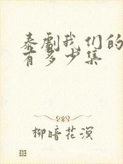 泰剧我们的秘密有多少集