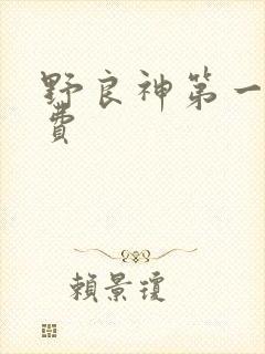 野良神第一季免费