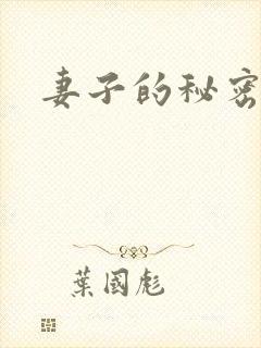 妻子的秘密日剧