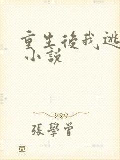 重生后我逃婚了 小说