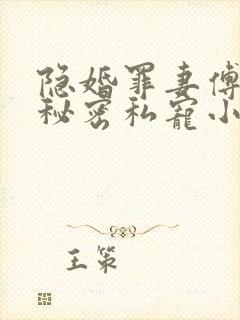 隐婚罪妻傅少的秘密私宠小说正版