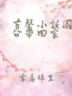 有声小说国民老公带回家