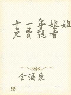 十一年姐姐短剧免费观看