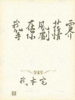 我在风花雪月里等你剧情介绍