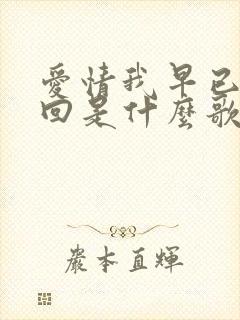 爱情我早已追不回是什么歌