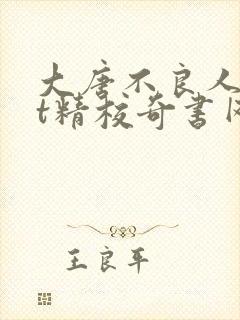大唐不良人txt精校奇书网