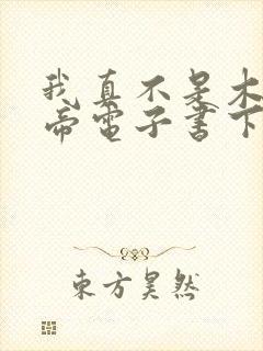 我真不是木匠皇帝电子书下载