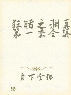 狂赌之渊真人版第一季全集免费观看