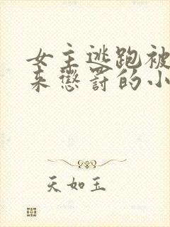 女主逃跑被抓回来惩罚的小说片段