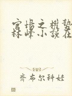 官场之权势滔天林峰小说在线阅读