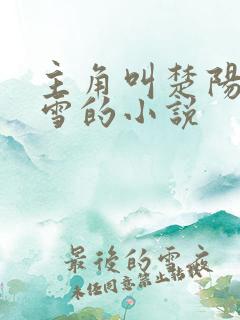 主角叫楚阳林清雪的小说