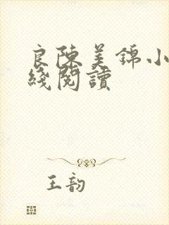 良陈美锦小说在线阅读