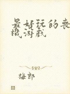 最好玩的丧尸手机游戏