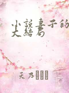 小说妻子的复仇大结局