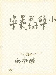 你是我的小确幸下载txt下