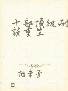 十部顶级耐看小说重生