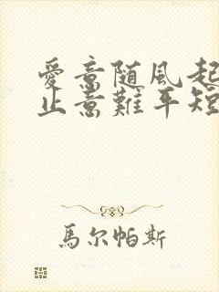 爱意随风起,风止意难平短剧