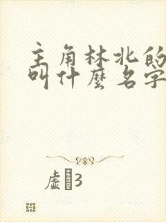 主角林北的小说叫什么名字