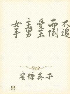 女主爱而不得放手男主倒追