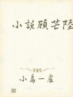 小说顾芒陆承洲