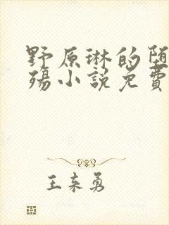 野原琳的堕落浮殇小说免费阅读