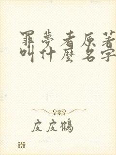 罪梦者原著小说叫什么名字