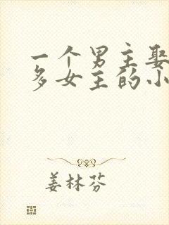 一个男主娶了很多女主的小说