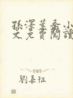 孙泽叶乔小说全文免费阅读最新章节