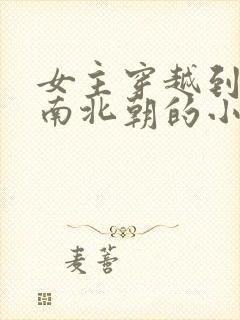 女主穿越到魏晋南北朝的小说