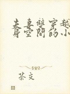 夫妻双穿越有随身空间的小说