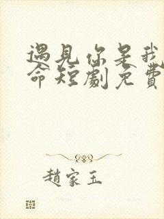 遇见你是我的宿命短剧免费全集