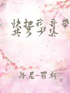 快把我哥带走一共多少集