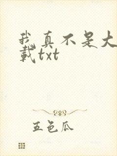 我真不是大佬下载txt