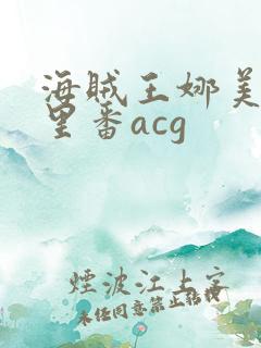 海贼王娜美本子里番acg