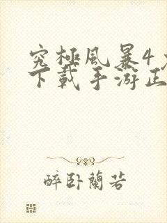 究极风暴4免费下载手游正版