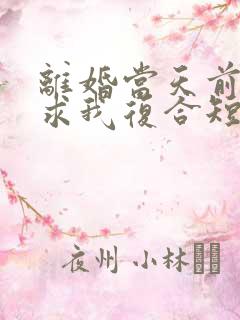 离婚当天前夫跪求我复合短剧免费