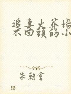 追妻火葬场女主不回头的小说