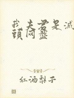 我夫君是灭世魔头网盘