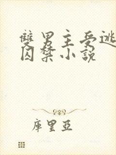 双男主受逃跑被囚禁小说