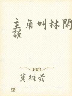 主角叫林闲的小说