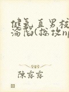 健气直男校草的沦陷(总攻np